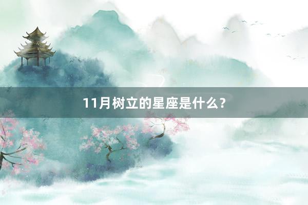 11月树立的星座是什么？