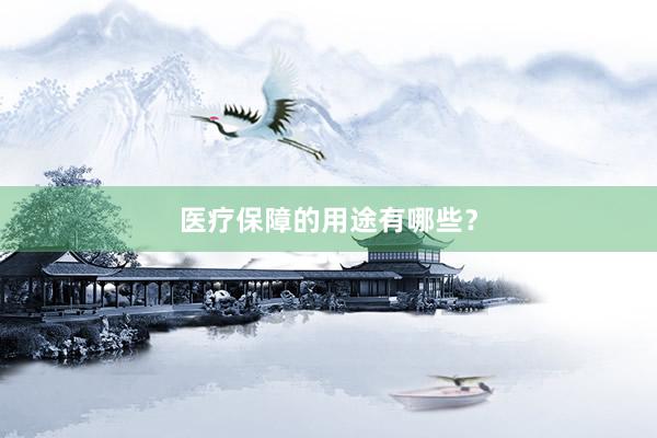 医疗保障的用途有哪些?