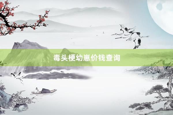 毒头梗幼崽价钱查询